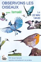 Oberservons les oiseaux © Culture et patrimoine félinois