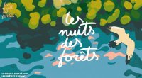nuitdesforets © festival nuits des forêts