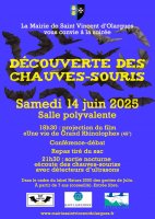 20250614-decouverte-chauve-souris-web © Mairie de Saint-Vincent-d'Olargues