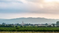 normal_Olonzac_07-08_282_sur_229 © normal_Olonzac_07-08_282_sur_229