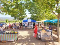 Marché Félines ©Marché Félines