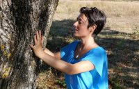 LAD ARBRE © SEVA