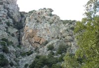 Tête de Braque © @ OT du Minervois au Caroux