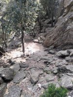 Tête de Braque © @ N. Haugsted - Montagnes du Caroux