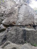 Tête de Braque © @ N. Haugsted - Montagnes du Caroux