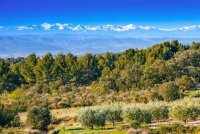 L'environnement avec vue sur les Pyrénées © Gîtes de France