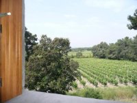LA BERGERONNETTE Vue sur le vignoble. © R POURTHIE