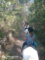 119672650_3881799991848448_8113699669059646529_n &copy; rosy