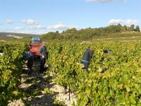 Domaine cavailles ©Domaine cavailles