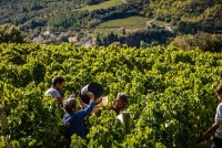 Coteaux de Berlou-Berlou_16 © 2017 - Hervé Leclair_Asphéries - Sud de France Développement