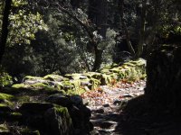 Rando Gorges de Colombieres -  Gilles Delerue 11 ©Gilles Delerue - ADT34