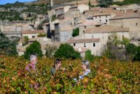 Rando de la cité de Minerve0002 ©Regis Domergue - ADT34 ©Regis Domergue - ADT34