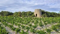 Ancien_Moulin_St-Jean-Minervois_-_E_Brendle ©Eric Brendle - ADT34