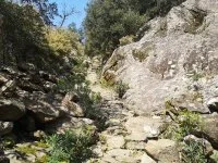 Verticale du caroux - 1 &copy; OTMC-M.BARRAL