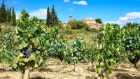 Montouliers_-_E_Brendle_12 ©Eric Brendle - ADT34