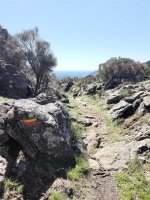 --Natasha-Haugsted--Montagnes-du-Caroux--9- © @Natasha Haugsted - Montagnes du Caroux