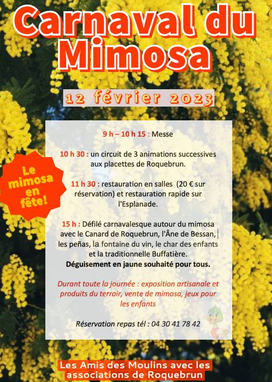 festival mimosa Roquebrun