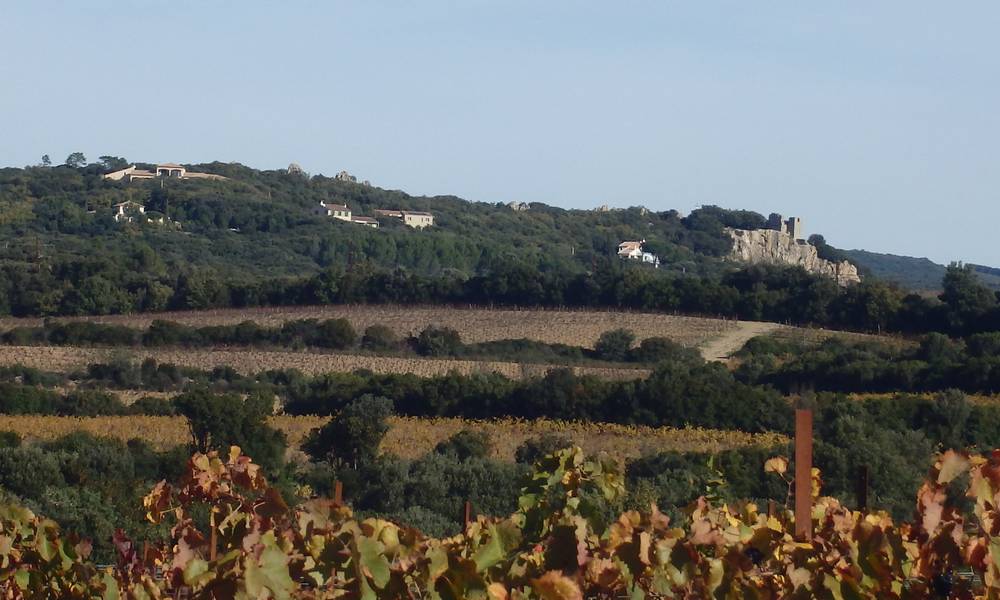 Le Castrum de Roquessels
